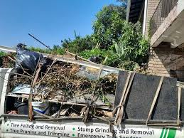 Best Hoarding Cleanup  in Versailles, IN